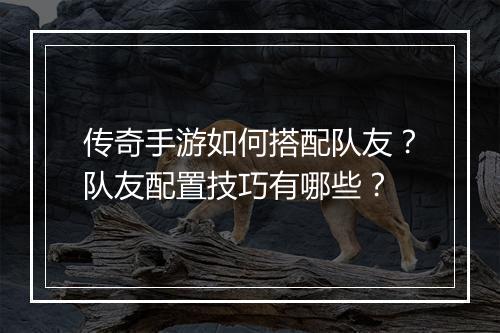 传奇手游如何搭配队友？队友配置技巧有哪些？