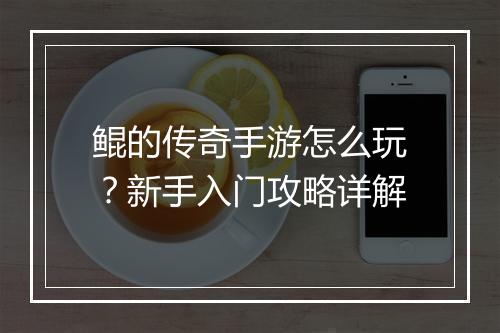 鲲的传奇手游怎么玩？新手入门攻略详解