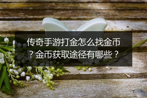 传奇手游打金怎么找金币？金币获取途径有哪些？