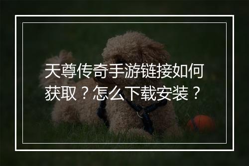 天尊传奇手游链接如何获取？怎么下载安装？