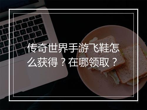 传奇世界手游飞鞋怎么获得？在哪领取？