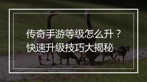 传奇手游等级怎么升？快速升级技巧大揭秘