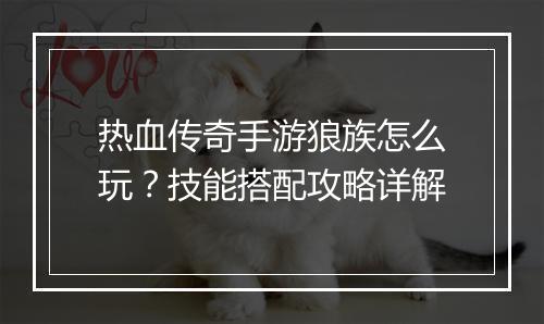 热血传奇手游狼族怎么玩？技能搭配攻略详解