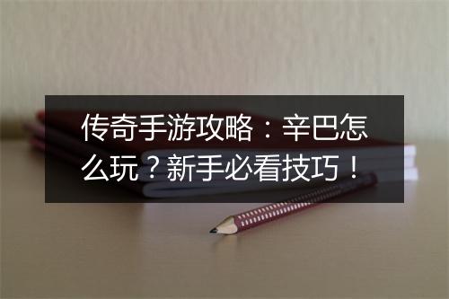 传奇手游攻略：辛巴怎么玩？新手必看技巧！