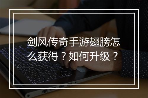 剑风传奇手游翅膀怎么获得？如何升级？