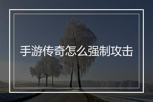 手游传奇怎么强制攻击