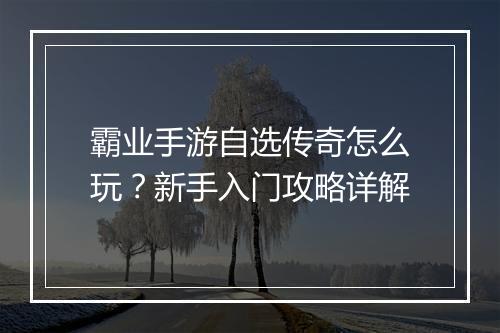 霸业手游自选传奇怎么玩?新手入门攻略详解