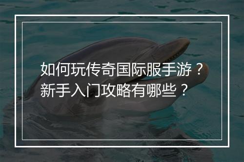 如何玩传奇国际服手游？新手入门攻略有哪些？