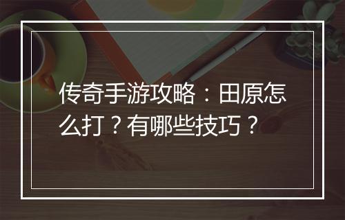 传奇手游攻略：田原怎么打？有哪些技巧？