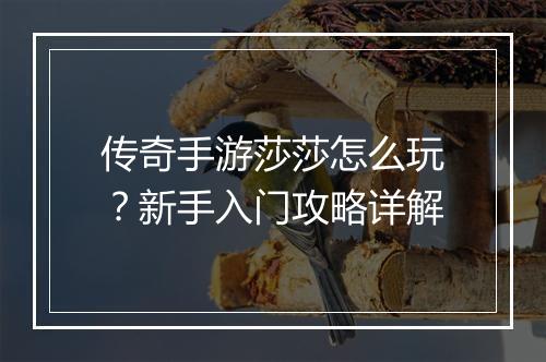 传奇手游莎莎怎么玩？新手入门攻略详解