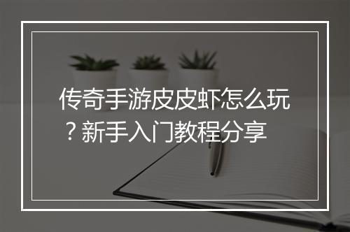 传奇手游皮皮虾怎么玩？新手入门教程分享