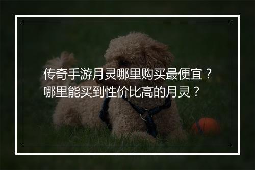传奇手游月灵哪里购买最便宜？哪里能买到性价比高的月灵？
