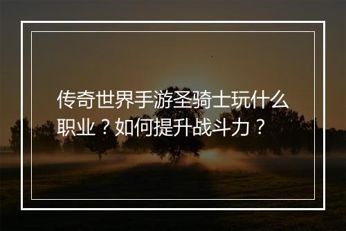 传奇世界手游圣骑士玩什么职业？如何提升战斗力？