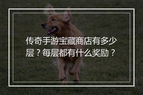 传奇手游宝藏商店有多少层？每层都有什么奖励？