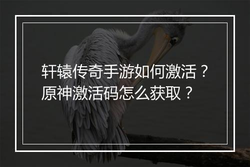 轩辕传奇手游如何激活？原神激活码怎么获取？