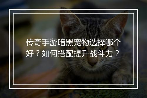 传奇手游暗黑宠物选择哪个好？如何搭配提升战斗力？