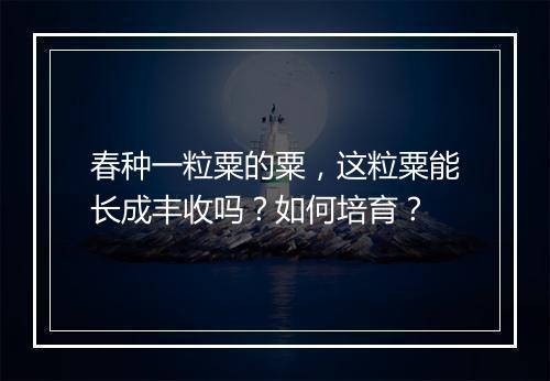 春种一粒粟的粟，这粒粟能长成丰收吗？如何培育？