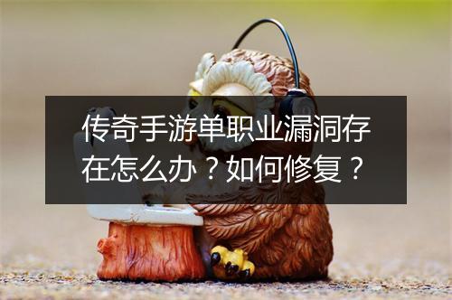 传奇手游单职业漏洞存在怎么办？如何修复？