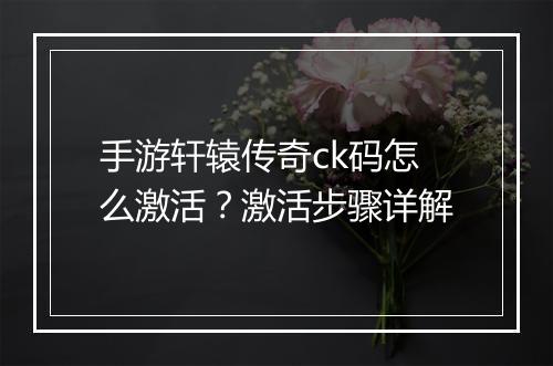 手游轩辕传奇ck码怎么激活？激活步骤详解