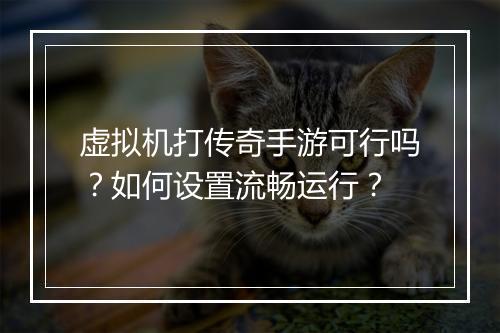 虚拟机打传奇手游可行吗？如何设置流畅运行？