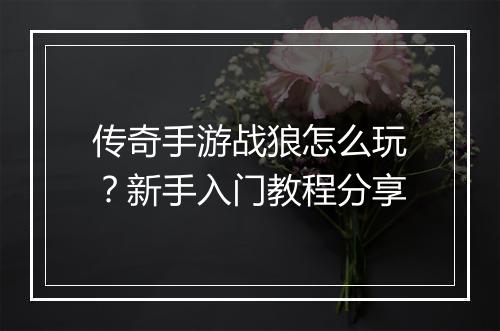 传奇手游战狼怎么玩？新手入门教程分享