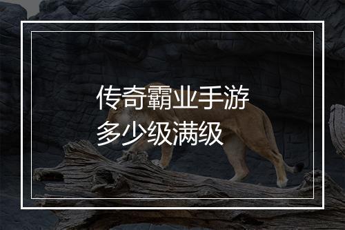 传奇霸业手游多少级满级