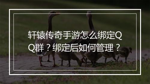 轩辕传奇手游怎么绑定QQ群？绑定后如何管理？