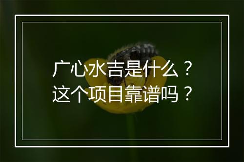 广心水吉是什么？这个项目靠谱吗？