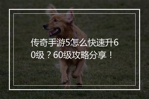 传奇手游5怎么快速升60级？60级攻略分享！