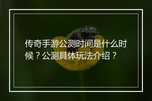传奇手游公测时间是什么时候？公测具体玩法介绍？