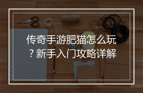 传奇手游肥猫怎么玩？新手入门攻略详解