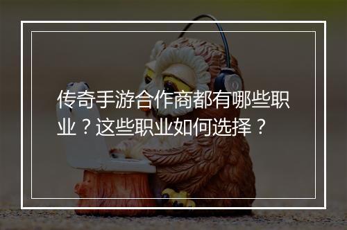 传奇手游合作商都有哪些职业？这些职业如何选择？