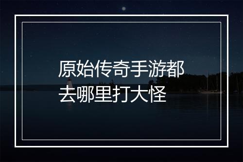 原始传奇手游都去哪里打大怪