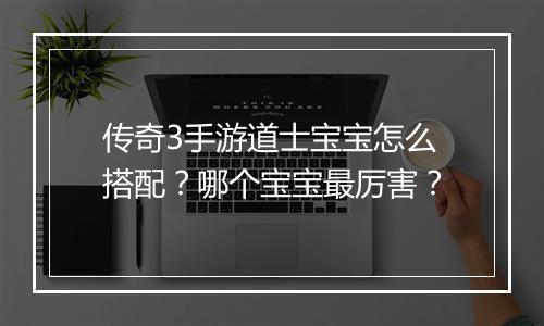 传奇3手游道士宝宝怎么搭配？哪个宝宝最厉害？