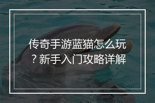传奇手游蓝猫怎么玩？新手入门攻略详解