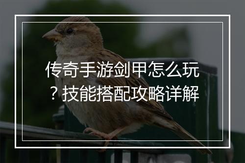 传奇手游剑甲怎么玩？技能搭配攻略详解