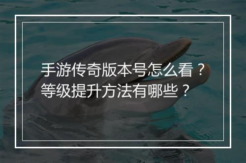手游传奇版本号怎么看？等级提升方法有哪些？
