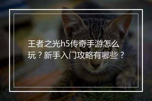 王者之光h5传奇手游怎么玩？新手入门攻略有哪些？