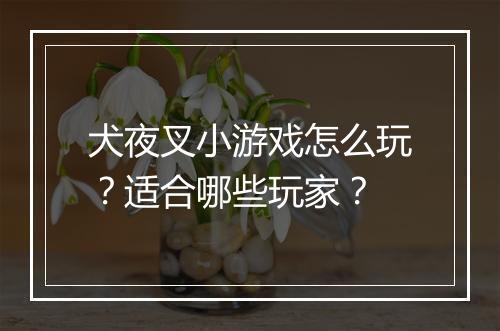 犬夜叉小游戏怎么玩？适合哪些玩家？