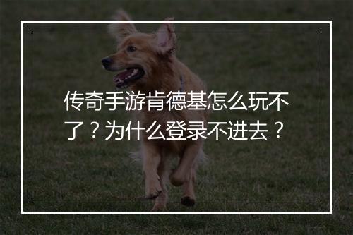 传奇手游肯德基怎么玩不了？为什么登录不进去？