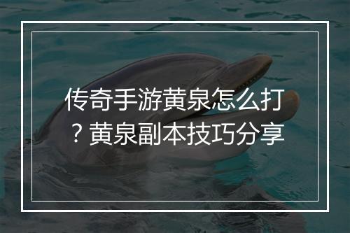 传奇手游黄泉怎么打？黄泉副本技巧分享