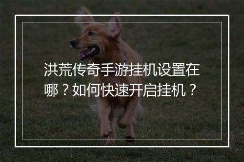 洪荒传奇手游挂机设置在哪？如何快速开启挂机？