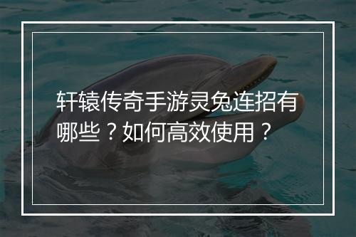 轩辕传奇手游灵兔连招有哪些？如何高效使用？