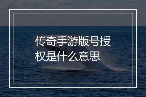 传奇手游版号授权是什么意思