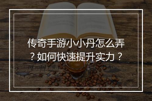 传奇手游小小丹怎么弄？如何快速提升实力？
