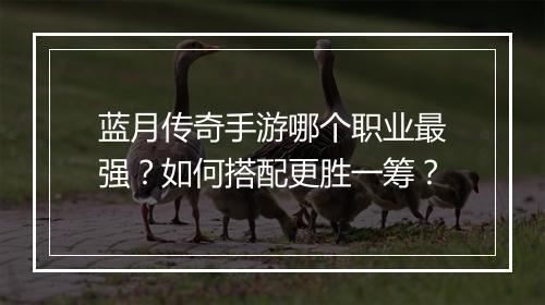 蓝月传奇手游哪个职业最强？如何搭配更胜一筹？