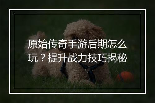 原始传奇手游后期怎么玩？提升战力技巧揭秘
