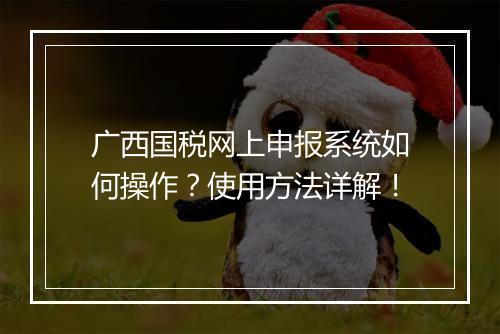 广西国税网上申报系统如何操作？使用方法详解！