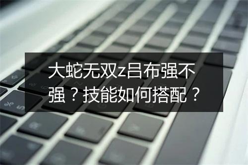 大蛇无双z吕布强不强？技能如何搭配？