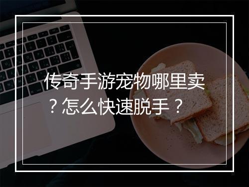 传奇手游宠物哪里卖？怎么快速脱手？